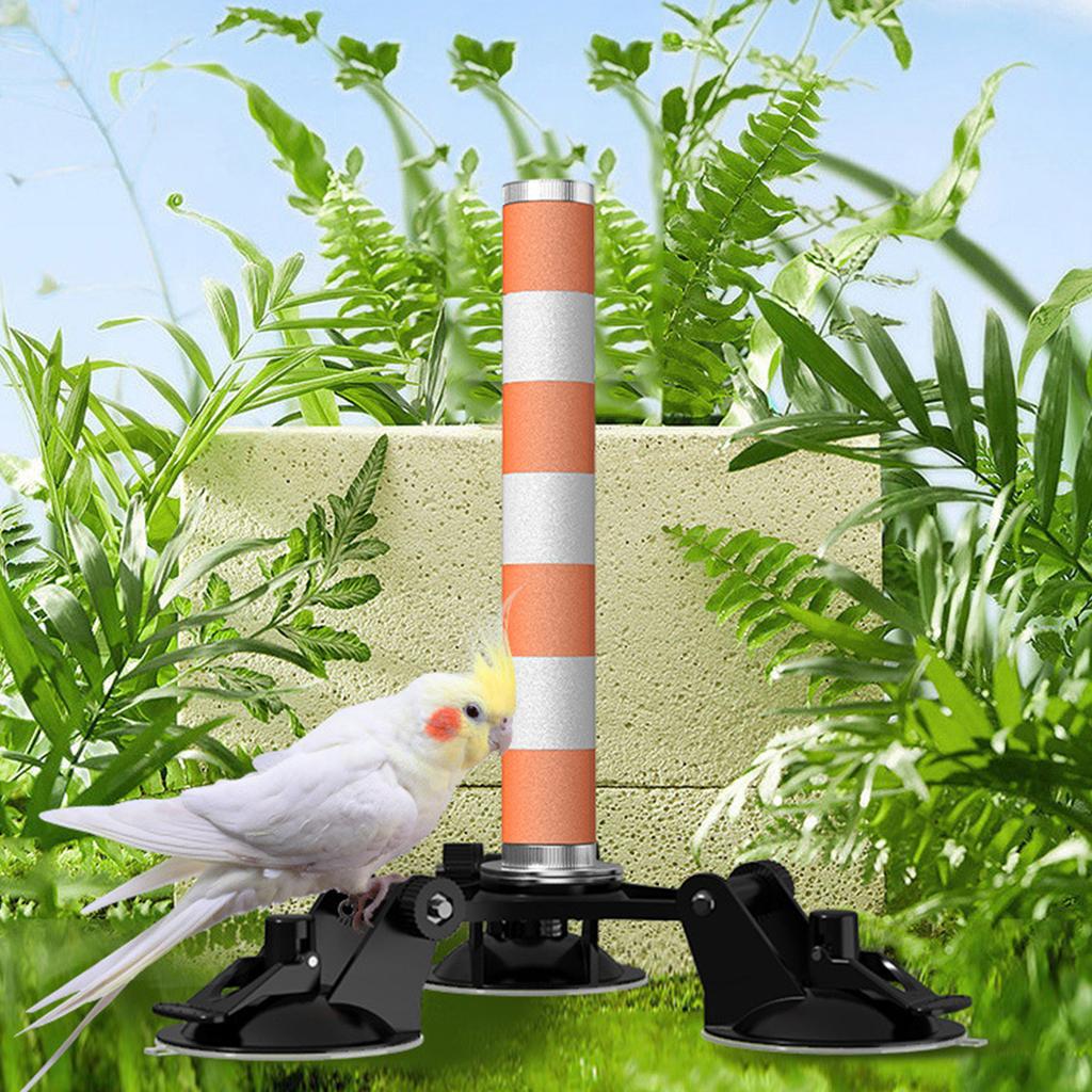 Bird Perch Ceramics Stand for Parrots Conure Supplies Budgies Grinding Scratcher for Small Medium Parrots Rack Toy