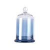 Eternal Life Flower Glass Storage Jar 8 Colors Cloche Dustproof Jar  Bedroom Decoration
