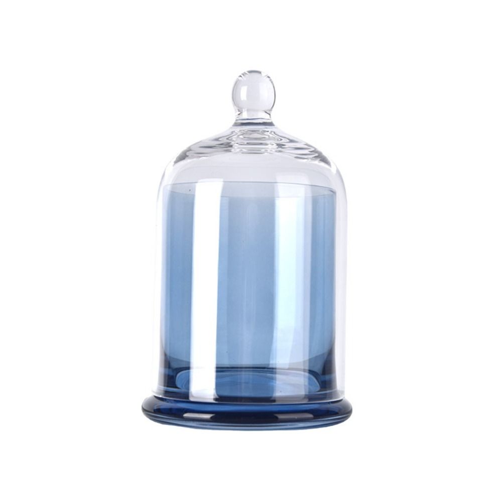 Eternal Life Flower Glass Storage Jar 8 Colors Cloche Dustproof Jar Bedroom Decoration