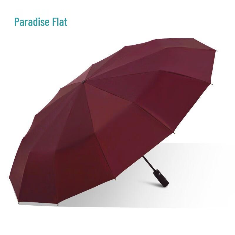 Paradise Fully Automatic 12-Rib Windproof Umbrella