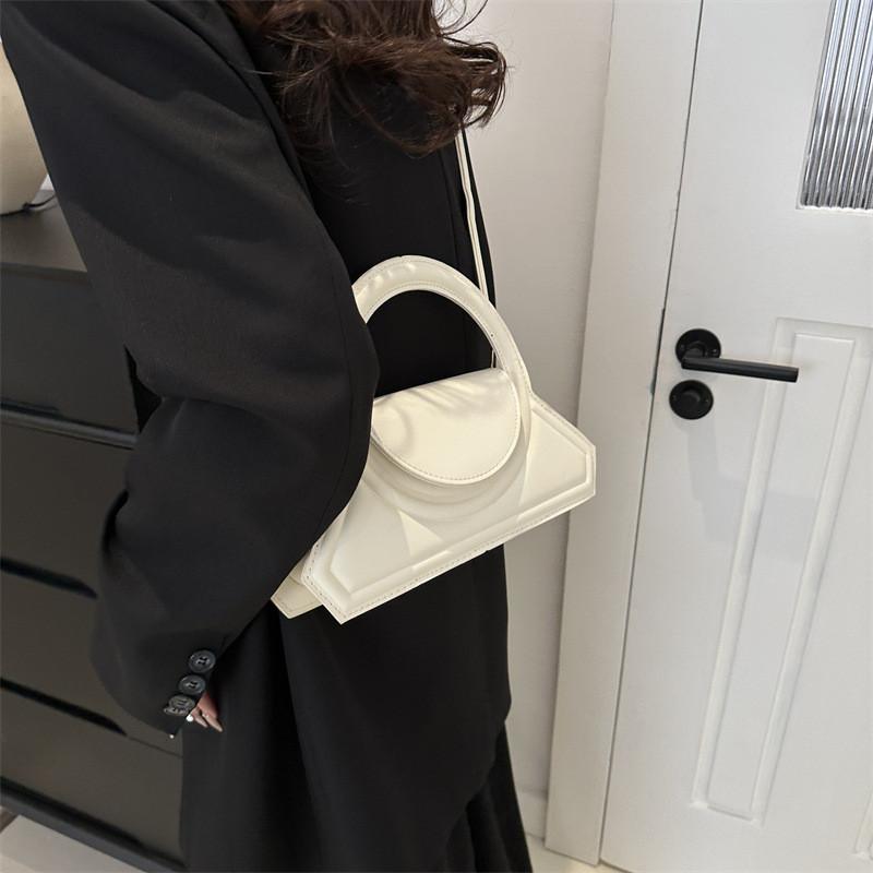 Trendy Chic Handbag For Women 2024 New Fashion Stylish Shoulder Crossbody Bag