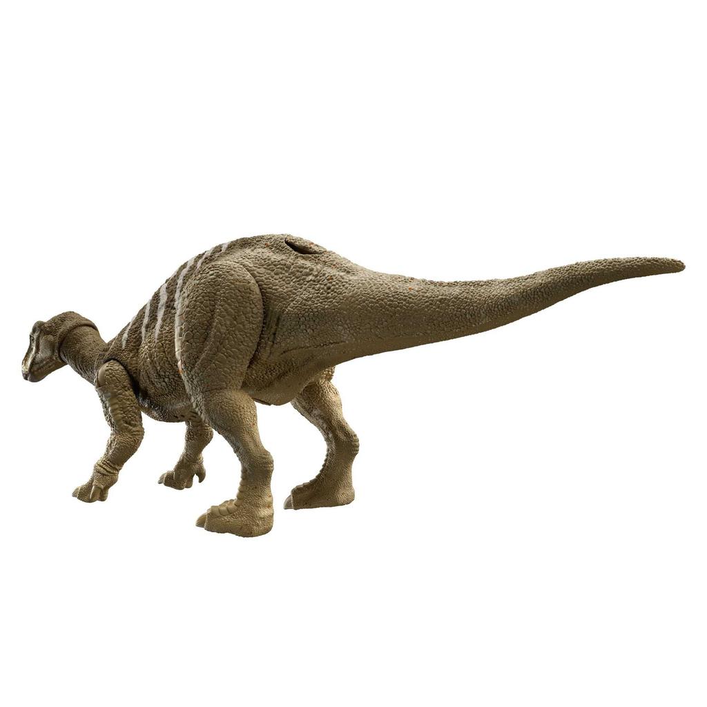 Mattel Jurassic World New Ruler Action Figure, Roaring Iguanodon (Length: Approx. 29.4cm), Ages 4 and Up, HDX41
