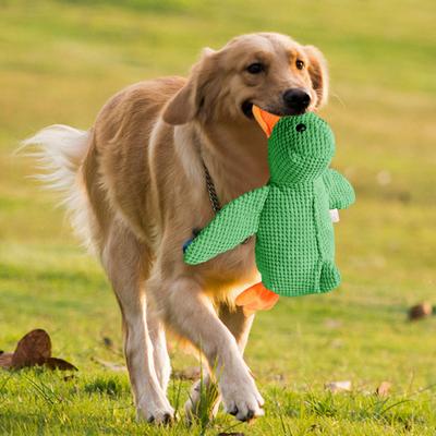Juguete para Morder Dientes de Mascota Pato de Peluche Multiusos Juguete Sonajero Interactivo Juguete para Masticar Salud Dental Juguete para Perro