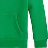 Polo Ralph Lauren Hoodie Ss24 Pony Embroidery Solid Color Hooded Pullover Kids Hoodies Green 323749954-051