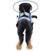 GabeFish Blind Dog Safety Gear, Anti-Collision Ring for Dogs, Reflective Bumper Collar Blue-Upgrade Small