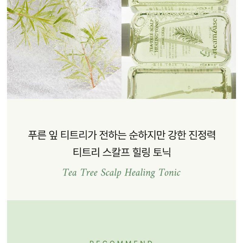 STEAMBASE - Tea Tree Scalp Healing Tonic