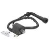 Ignition Coil Spark Plug Kit Vehicle Accessory Replacement Fit for Yamaha Grizzly 660660R