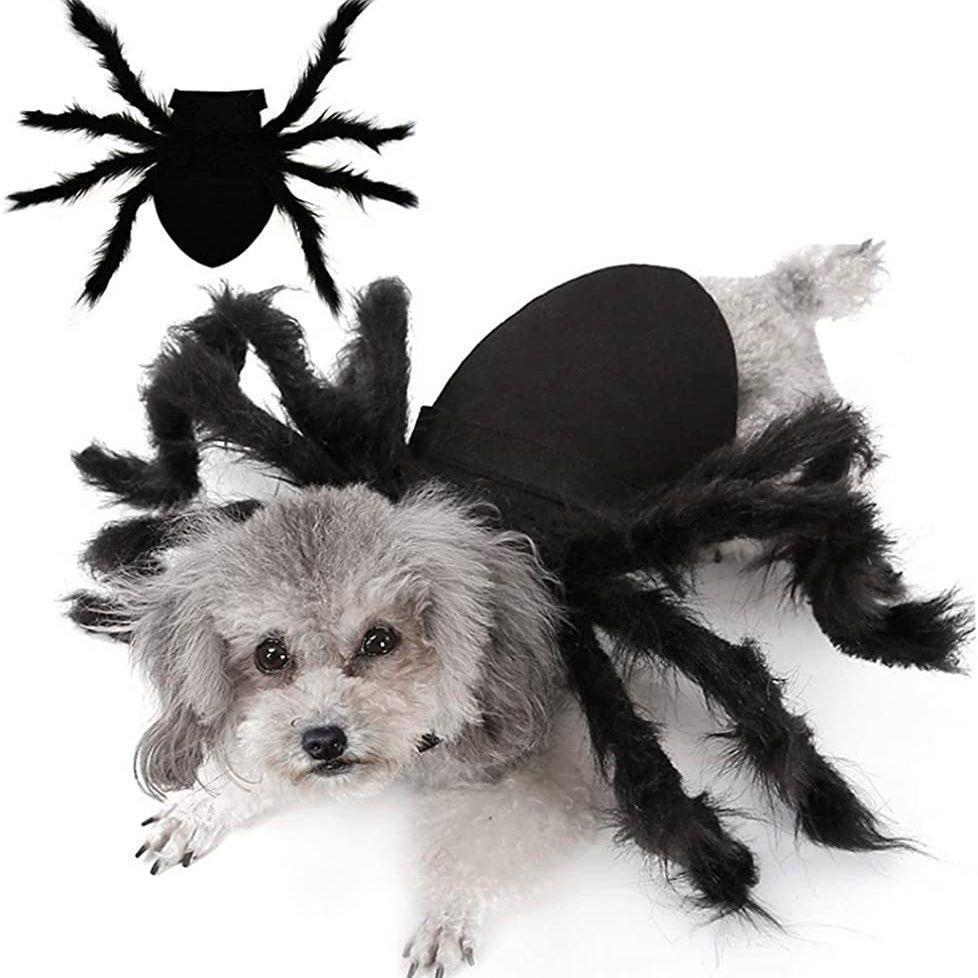Funny Cute Halloween Spider Costume for Pets - Autumn Role-Playing Decoration