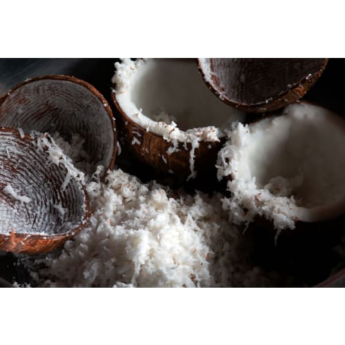 Mooninja Coconut Grater Scraper Shredder Blade Head Manual Kitchen Stainless Steel with 3 Screws