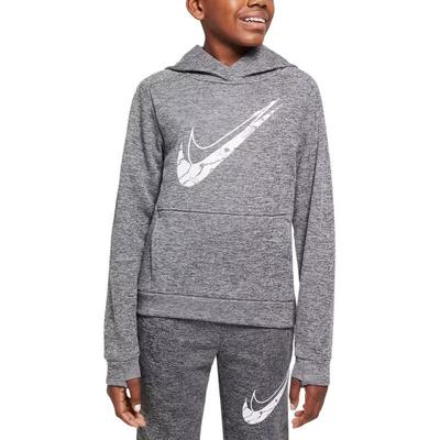 Sweatshirt Therma FIT Kids' HF4414-063