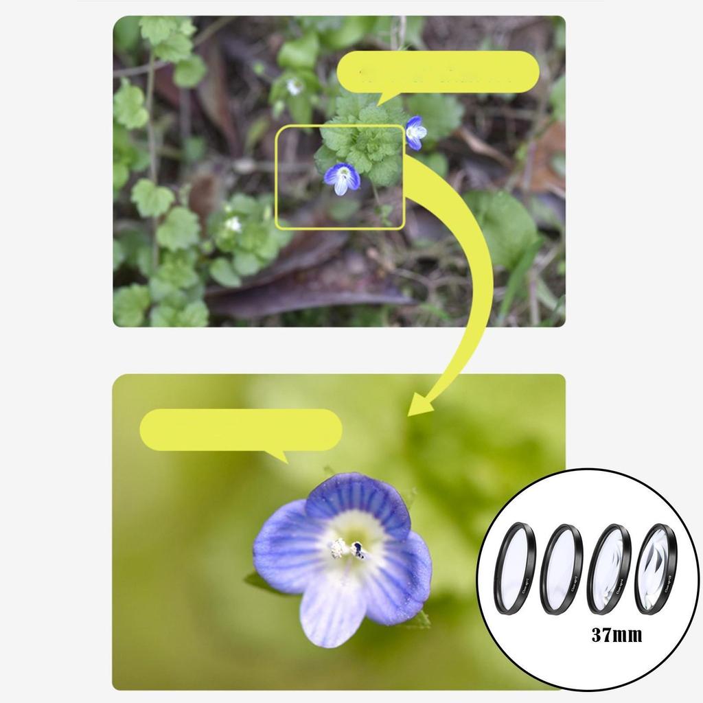 Lightdow Macro Close Up Lens Filter +1+2+4+10 Filter Kit 37 40.5 43 46 49 52 55 58 62 67 72 77 82mm for Canon Nikon Sony Cameras