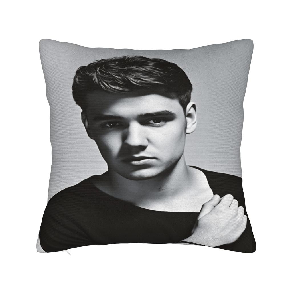 L-Liam Payne Sänger Kissenbezug Weiche Kissenhülle Moderne Kissenbezüge für Wohnzimmerstuhl