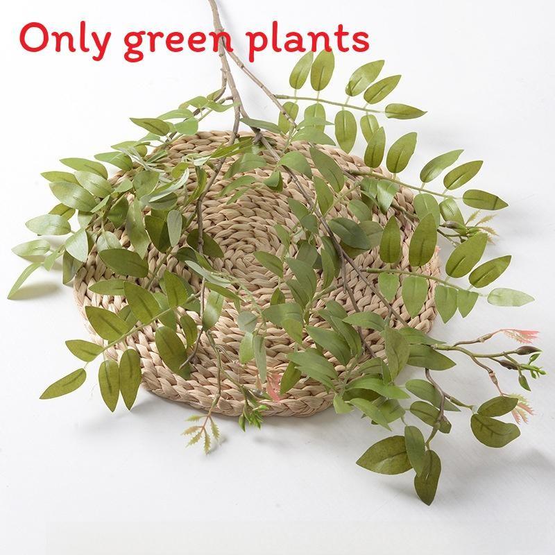 Liebm Deliciosa Monstera And Eucalyptus Citriodora Hook Green Decor Plants