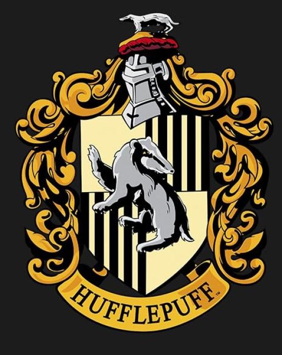 ERT GROUP Harry Potter Large Tote Bag (Hufflepuff) - Stylish A4 Canvas Shoulder Bag for Men and Women, Large Capacity, Black, 100% Cotton, Foldable,