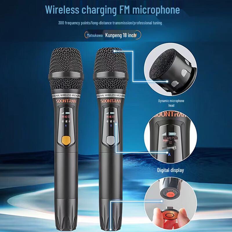 Songchuan SG30-12 Professional Karaoke Speaker System CN Plug (adapter Included) (CN Version)