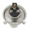 LED Fog Light Bulbs High Lighting Plug And Play 50