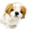 HANSA Plush Toy 7030 Shih Tzu Dog 30