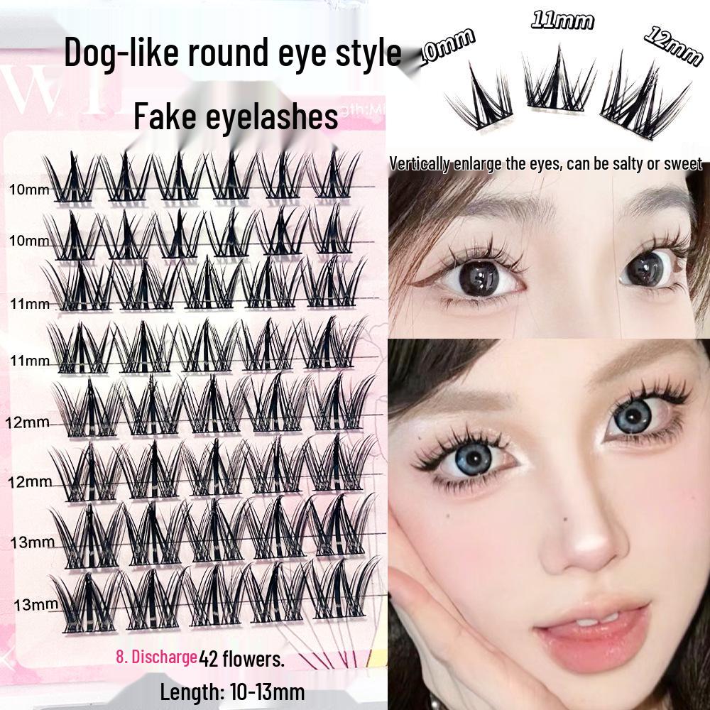 MissWink Dog-Inspired Round Eye False Eyelashes – Puppy Style Daily Segmented Clumps