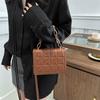 Women's foreign style simple and fashionable Korean version chain handbag 2025 This you see versatile ins shoulder messenger bag women