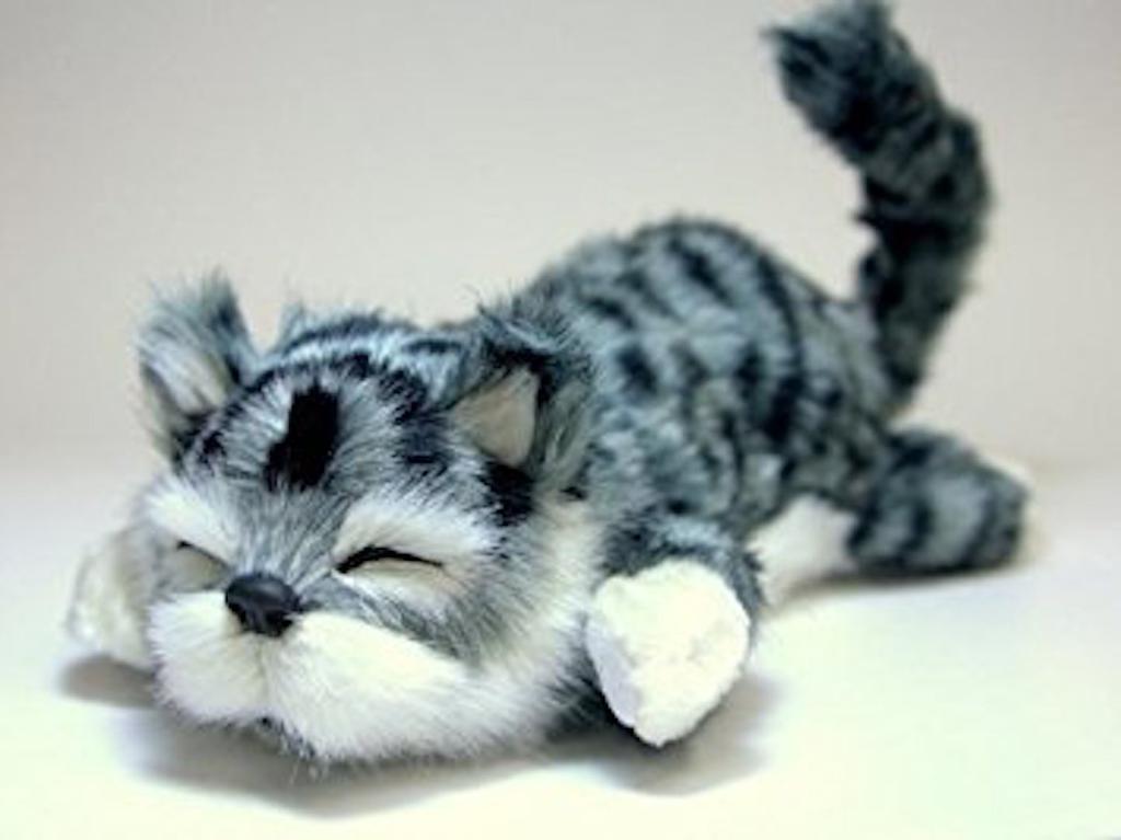 SPACERAIL Laughing Gray Cat,