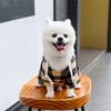 Dog Sweatshirt, Dog Shirts Pet Sweatshirt Clothing
