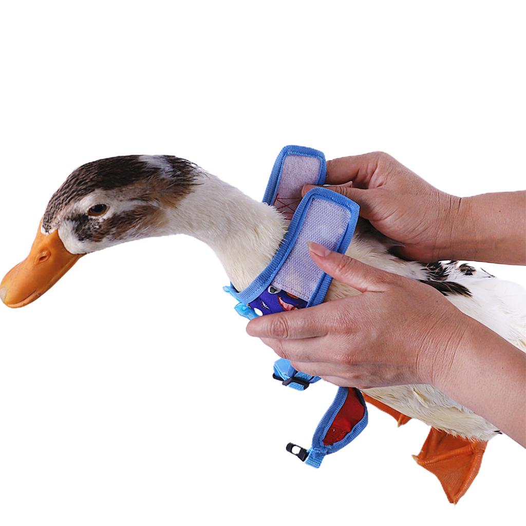 Harness Leash for Pet Safety Vest Walkng Lead Easy Control Supplies Pet Harness for Duck Ferret Accessories