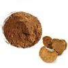 200g Extrato Orgânico de Phellinus Linteus 20:1 Pó de Cogumelo Meshimakobu Bem-Estar Diário