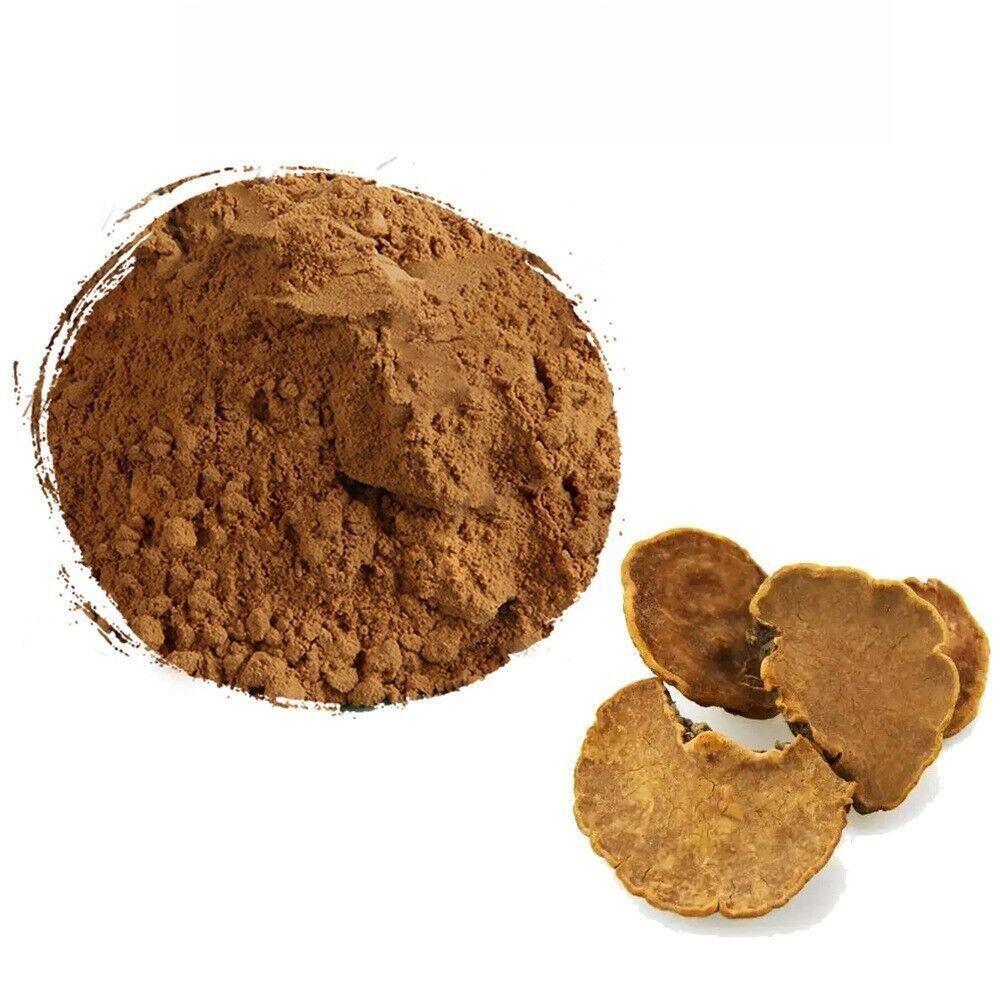 200g Organic Phellinus Linteus Extract 20:1 Meshimakobu Mushroom Powder Daily Wellness 01