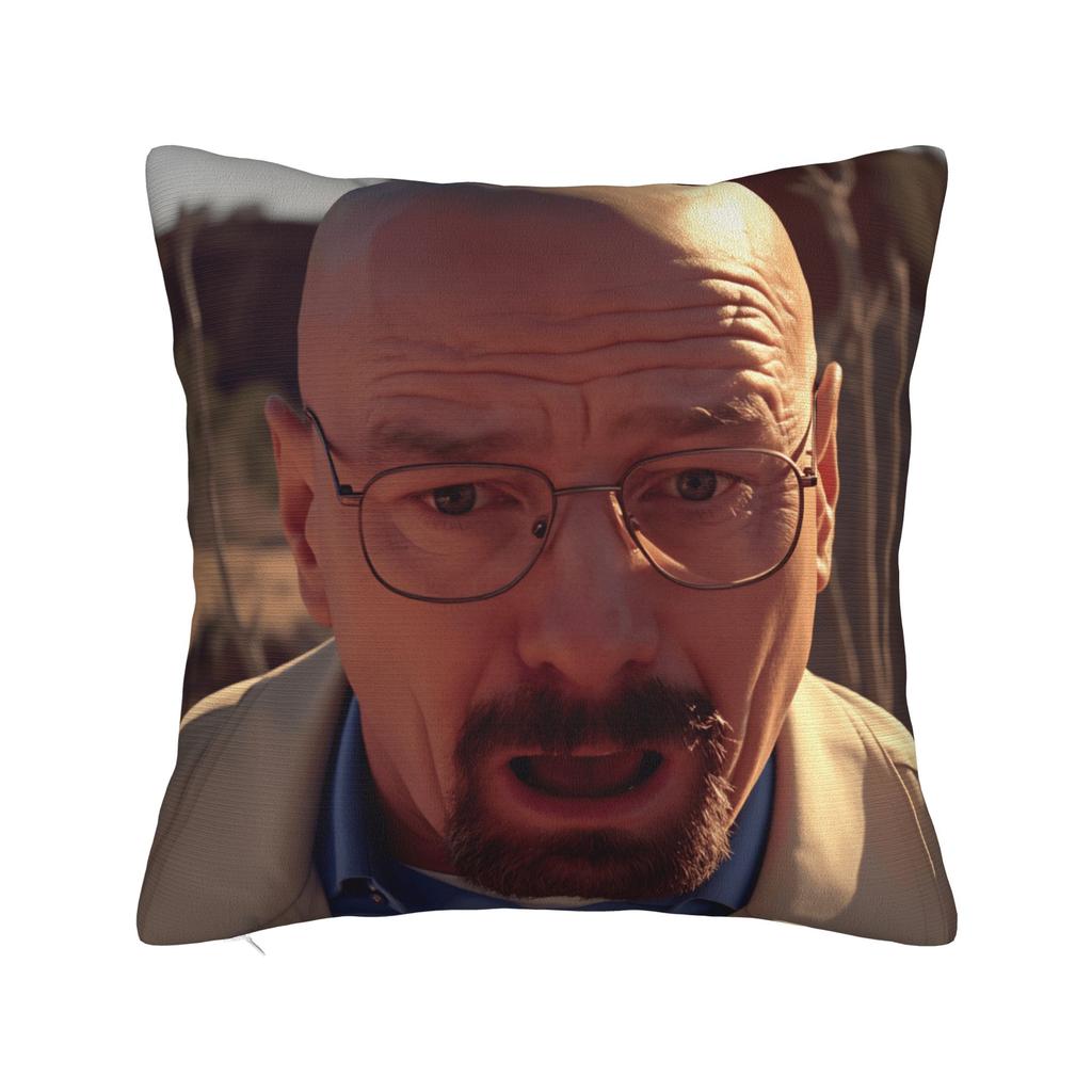 Walter White Meme Skateboard Pillow Case  Print Pillow Cover Morden Pillowcases For Living Room Chair