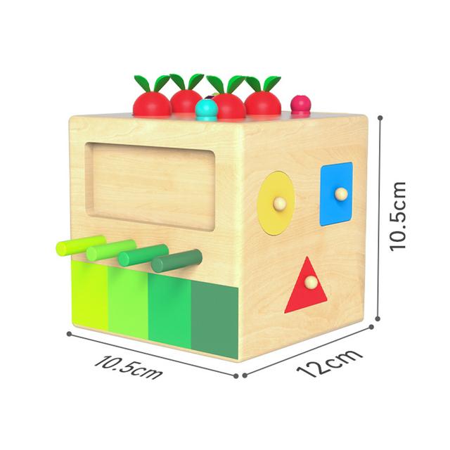 Baby Wooden Montessori Box Sensory Toys Color Shape Sorting Matching Games Winder Object Permanence Activities Educational Toys