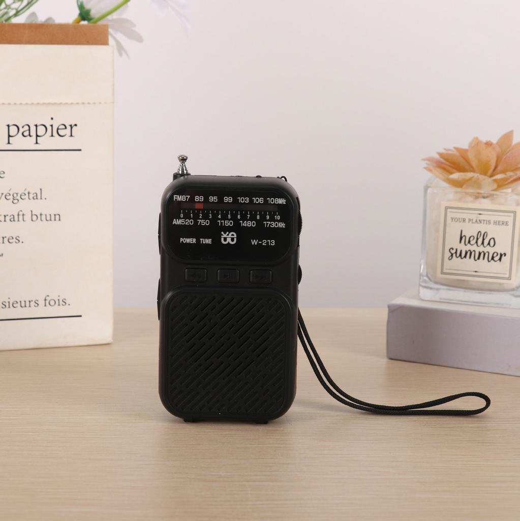 Mini Portable Pointer FM AM Radio LED Flashlight Stable Signal DSP Radios Rechargeable Bluetooth Speaker Earphones Listening Ra