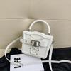 Handbag 2025 Winter New Niche Design Locomotive Bag Women's Fashion Bag Casual Small Square Bag
