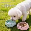 Köpek – Köpek Besleme ve Sulama Malzemeleri