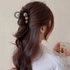 Women's 3-color Hemispherical Ball Bling Twist-shaped Hair Clip Hairpin