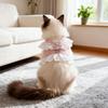 Corduroy Cat Princess Dress & Leash Set with Lace Trim