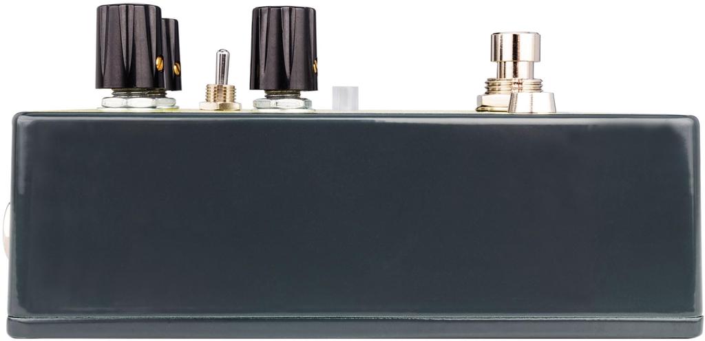 EarthQuaker Devices EQD Ledges Reverb Guitar Effector