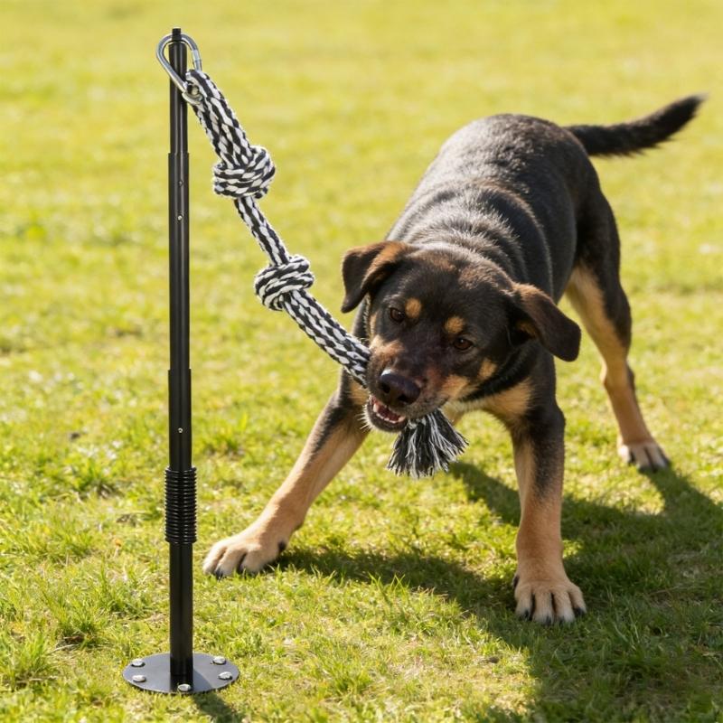 Langlebige Federstangen für Hunde mit elastischen Leinen Outdoor-Spielzeug Bewegung Spaß im Hof Gärten Sicher für große Hunde