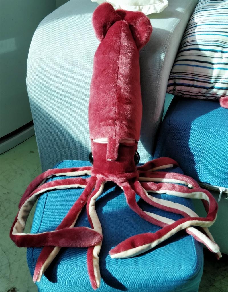 Riesiger Meereskalmar Plüschtier 25" Realistisches Kalmar Stofftier Puppe Für Kinder