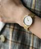 BERING Ultra Slim Collection Watch 17031-334 Unisex Analog Quartz Stainless Steel Strap Sapphire Crystal Gold Mesh Belt