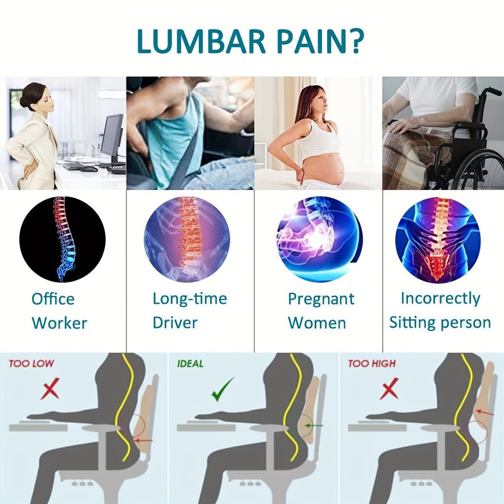 Ergonomic Lumbar Support Pillow for Office Chair & Car - Adjustable Straps with Breathable Mesh Cover, for Desk, Recliner