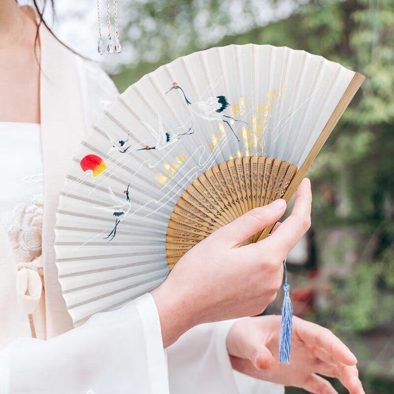 TaTanice Hand Fans Collection