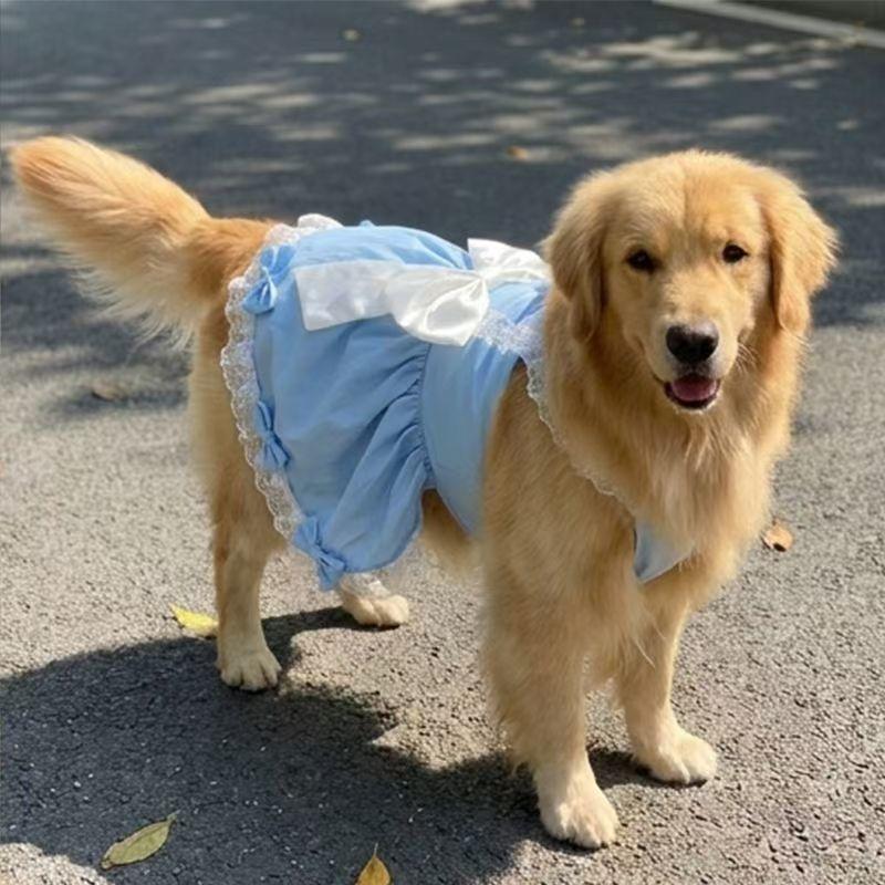 Summer Dog Dress Small Medium Big Dog Clothes Poodle Schnauzer Samoyed Border Collie Husky Labrador Golden Retriever Clothing