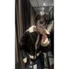 Winter Women's Street Wear Sheepskin Fur Bomber Jacket with Belt Motorcycle Thick Warm Sheepskin Overcoat Jacket