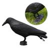 Crow Decoys Black Feathered Crow Standing Simulation Raven Statue Hunting Decoy Props Outdoors and Garden Decoration