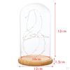 Cloche With Suspended LED Lights Tabletop Lamp Wedding Holiday Decor Crafts