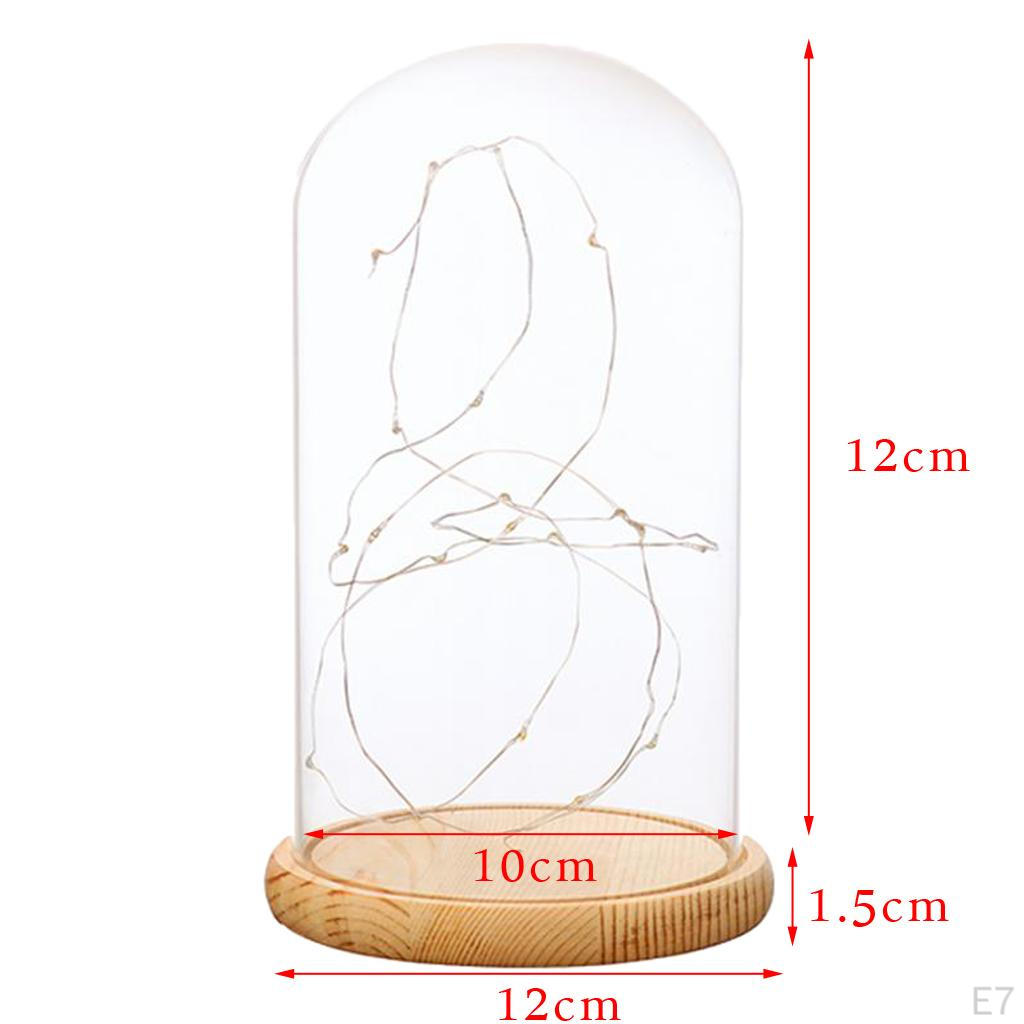 Cloche With Suspended LED Lights Tabletop Lamp Wedding Holiday Decor Crafts