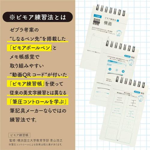 Zebra Gel Ballpoint Pen Bimore Memo Pad Set Beautiful Letters Black Ink Pink Shaft SE-JJ114-P