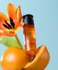 Molvany Glow Pure Vitamin C 15 Ampoule