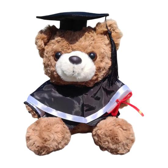 Personalized Graduation Bear Doll 2026 for Her, Soft Plush Teddy with Embroidered Gown, Class of 2026 Graduation Gifts for College High School