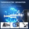 Ultra Bright 130W 360Degree LED Headlight Bulbs H1 H7 H11 H8 H9 9005 HB3 9006 HB4 9012 HIR2 H4 9003 6000K 12V for Car Lights